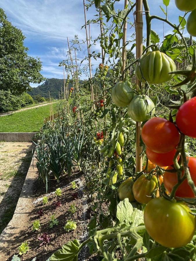 トスコラーノ・マデルノ Agriturismo San Lorenzo Di Persegnoヴィラ エクステリア 写真